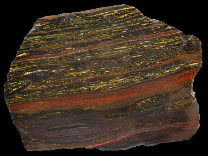 Polished Tiger Iron Stromatolite - ( Billion Years) #46639